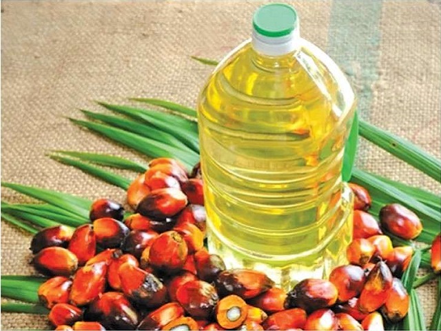 PM Modi announces National Edible Oil Mission-Oil Palm 