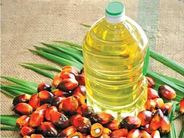 PM Modi announces National Edible Oil Mission-Oil Palm 