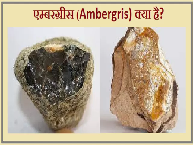 Ambergris