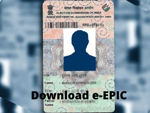 sample voter id card india