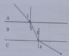 10th science assignment answer key 2021