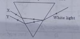 10th science assignment answer key 2021