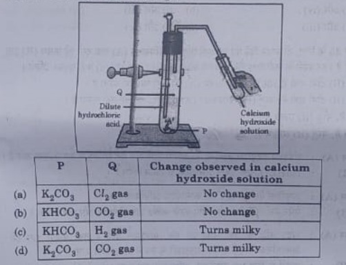 10th science assignment answer key 2021