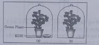 10th science assignment answer key 2021