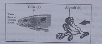 10th science assignment answer key 2021