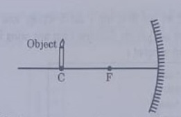 10th science assignment answer key 2021