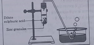 CBSE Answer Key 2021-22: Diagram