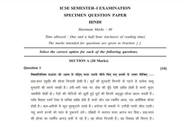 hindi essay class 10 icse