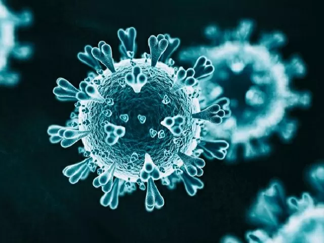 What is S-Gene? 