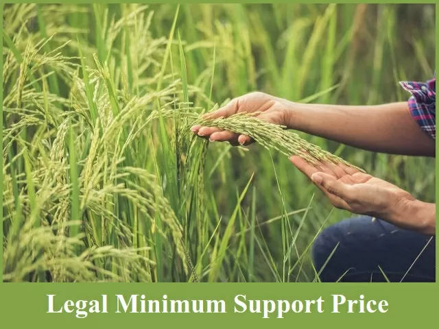 explained-what-is-minimum-support-price-msp-legal-minimum-support