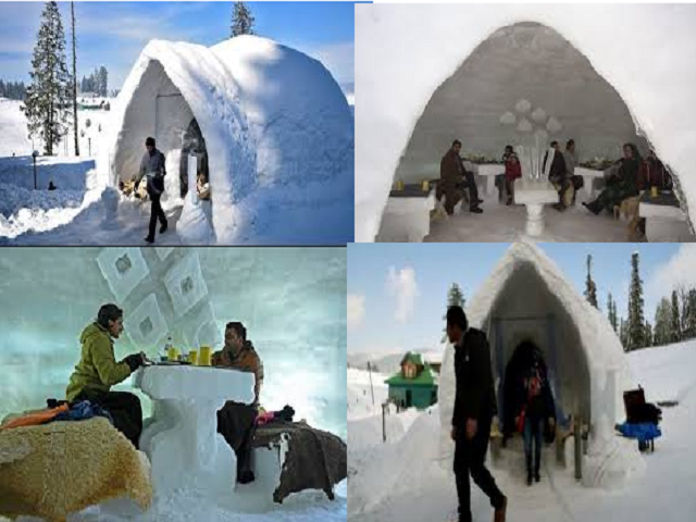 hindi-know-about-india-s-first-igloo-cafe