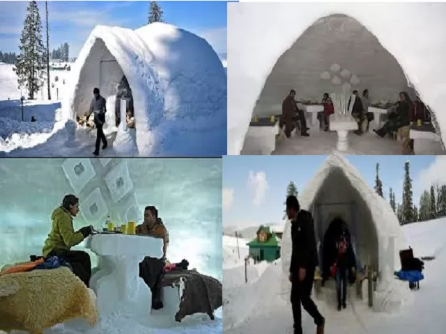 India's first Igloo Cafe 