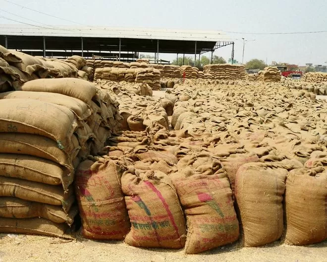 India Gifts 2000 Tonnes Of Rice To Syria To Strengthen Food Security in Hindi
