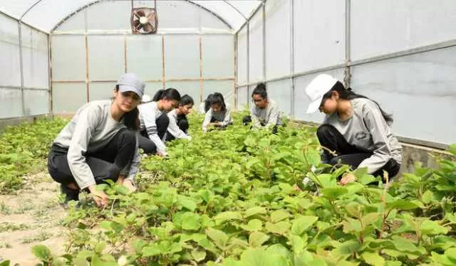 Various Careers in Indian Agriculture