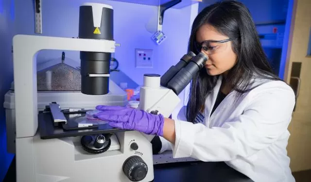 Best Career Options in Bioinformatics Field