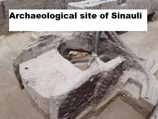write your case study about sinauli excavation site