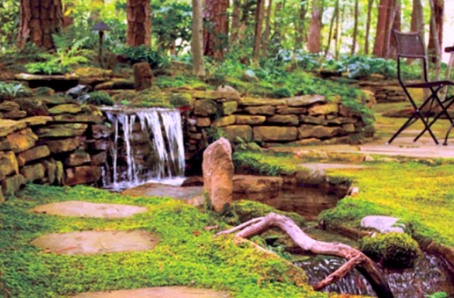 India’s first cryptogamic garden opens in Dehradun, Uttarakhand