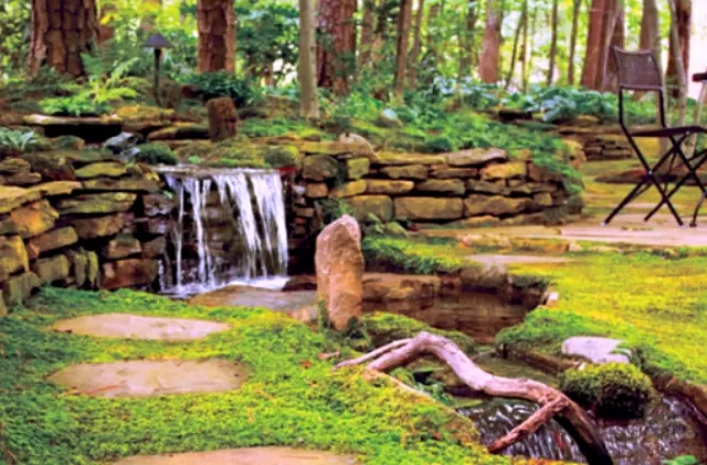India’s first cryptogamic garden opens in Dehradun, Uttarakhand