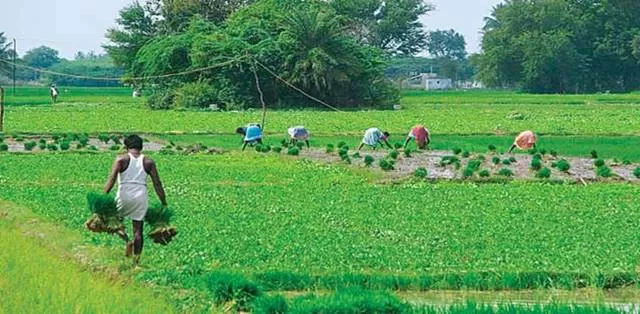 Government launches ‘Atmanirbhar Krishi app’ for farmers