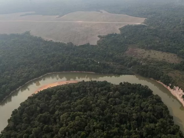 Amazon Rainforest, Source: Reuters