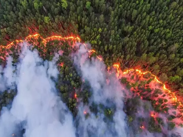 Siberian wildfires, Source: Reuters