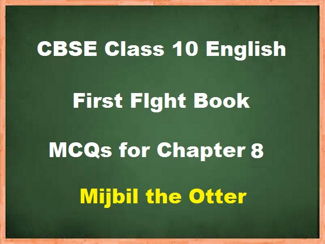 Mijbil The Otter  Chapter 8 Of First Flight With Important Questions  Class 10 English  YouTube