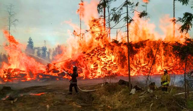 Siberian wildfires: What is fueling wildfires in Russia’s coldest city?