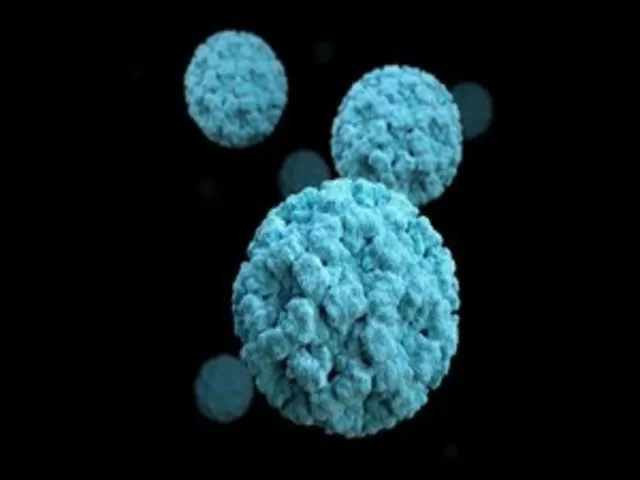 Norovirus outbreak in UK, Source: PHE