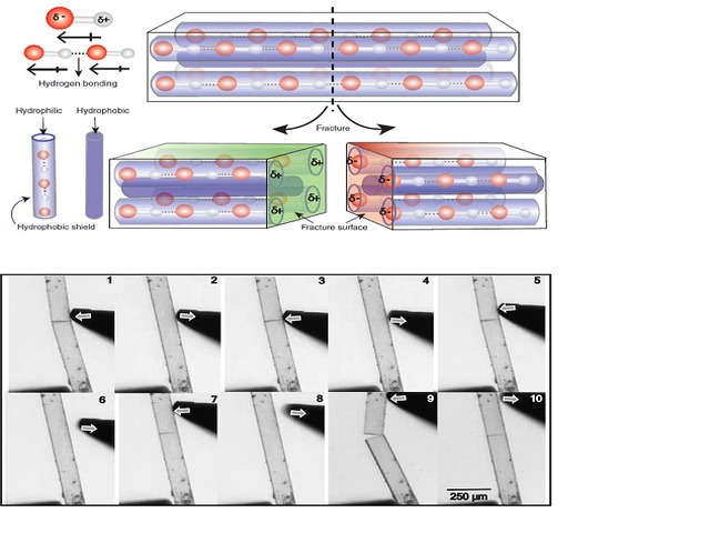 Piezoelectric Molecular Crystals, Source: DST India
