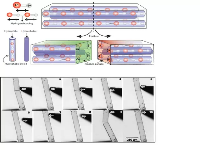 Piezoelectric Molecular Crystals, Source: DST India