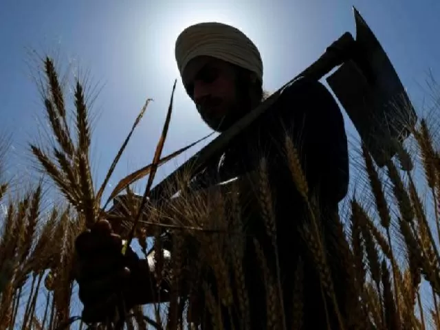PM crop cover scheme
