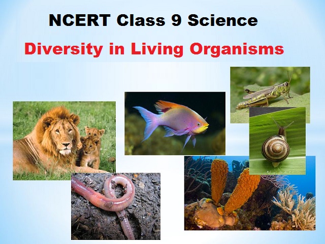 NCERT Class 9 Science Chapter 7 Diversity in Living Organisms (PDF)