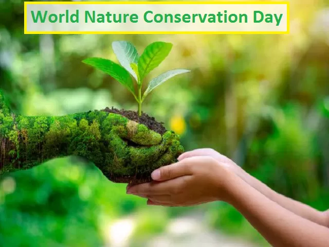 World Nature Conservation Day, 28 July, abstract poster for web of nature  giving plant to human, illustration vector Stock Vector Image & Art - Alamy