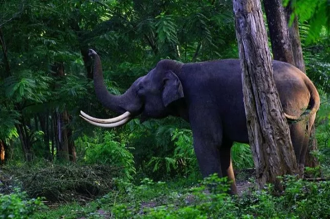 World Nature Conservation Day 2021: History and significance