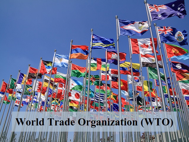 World Trade Organization (WTO): What is it and how does it work?