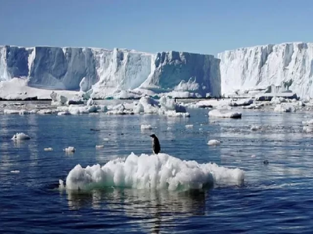 Antarctica, Source: Reuters