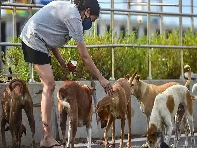 World Zoonoses Day, Source: PTI