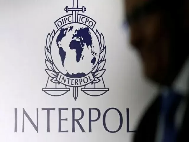 ‘I-Familia’: Interpol launches global database to identify missing persons