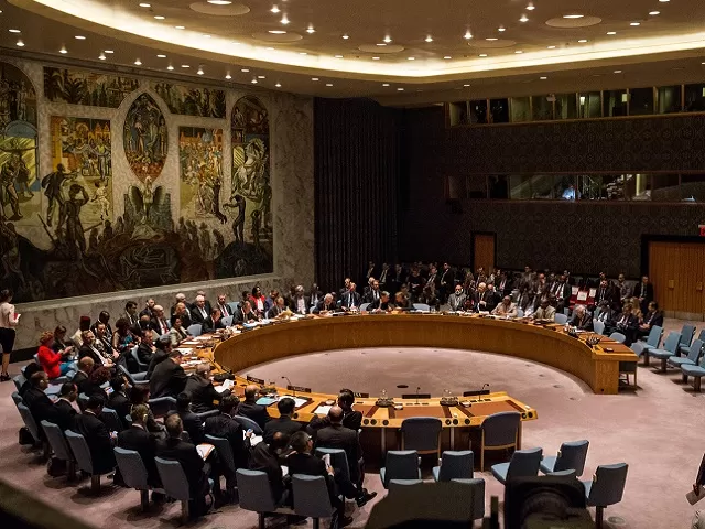 UNSC, Reference Image