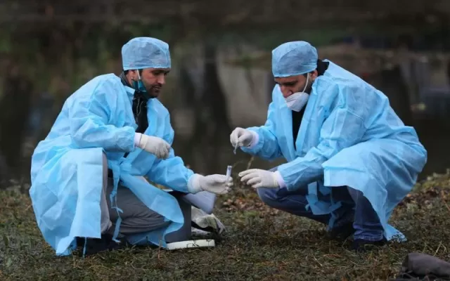 China Reports First Human Case Of H10N3 Bird Flu in Hindi