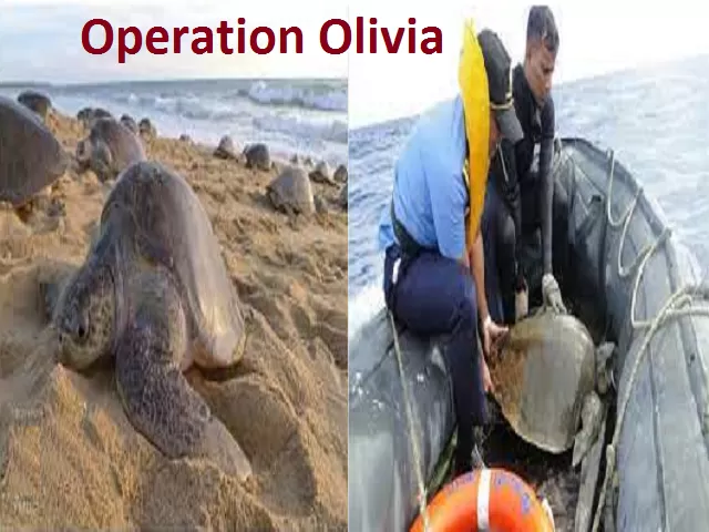 Operation Olivia