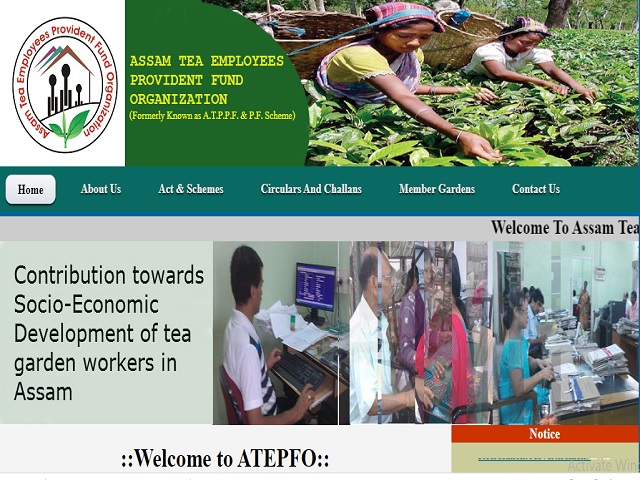 Assam Tea Employees Provident Fund Organization (ATEPFO ...