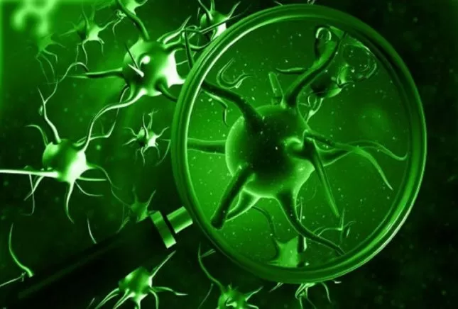 What is Green Fungus Causes, symptoms, prevention