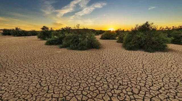 Desertification and Drought Day 2021: Goal, Theme and History