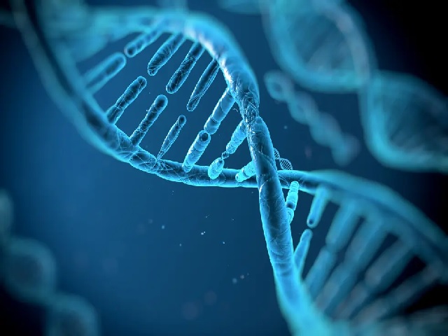 Human Genome sequenced