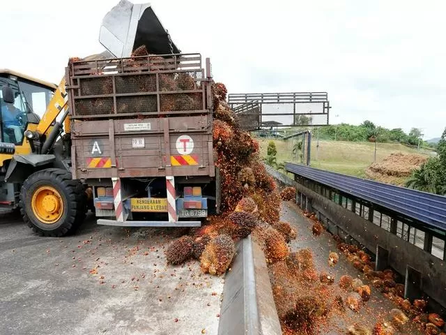 Inside a palm oil mill, Malaysia, Source: Reuters