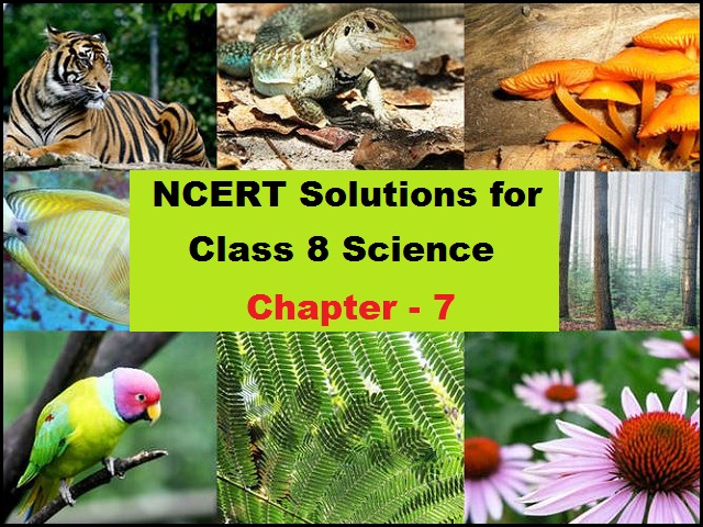 NCERT Solutions for Class 8 Science Chapter 7 Conservation of Plants and  Animals PDF