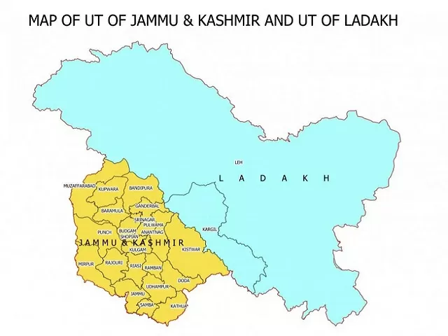 Reference Image