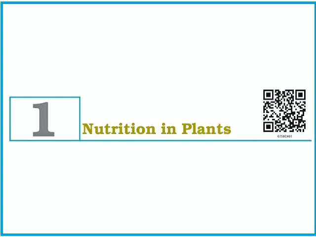 Nutrition in Plants - Chapter 1: Class 7 Science NCERT Book (PDF)