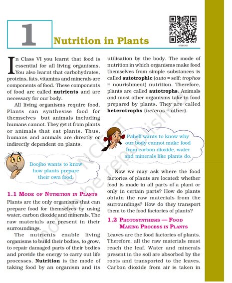 Nutrition in Plants - Chapter 1: Class 7 Science NCERT Book (PDF)